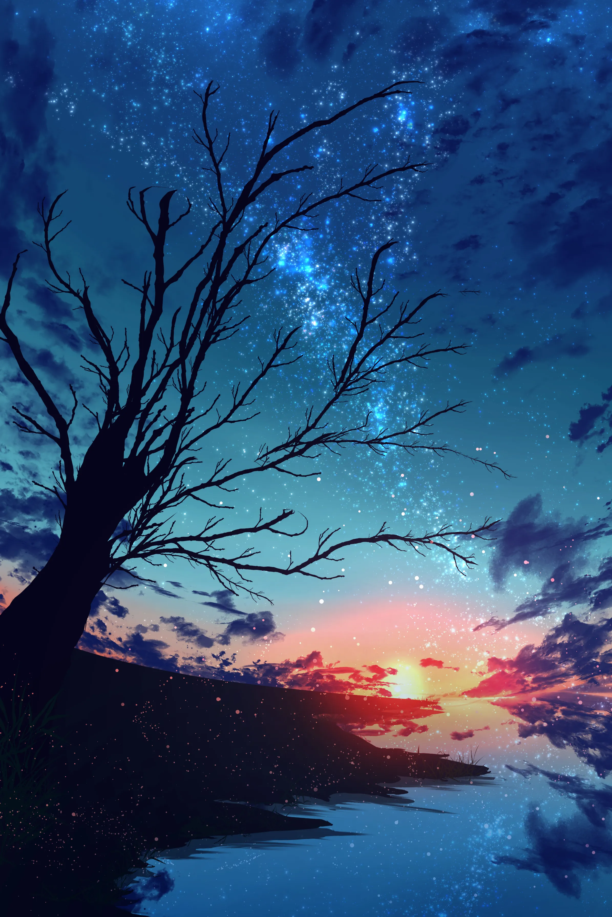 wallpaper 62